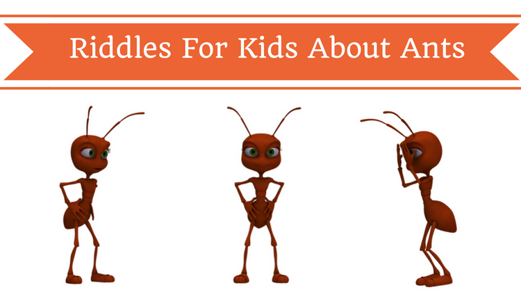 Ant Riddles