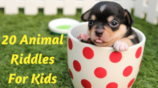 20 Animal Riddles For Kids